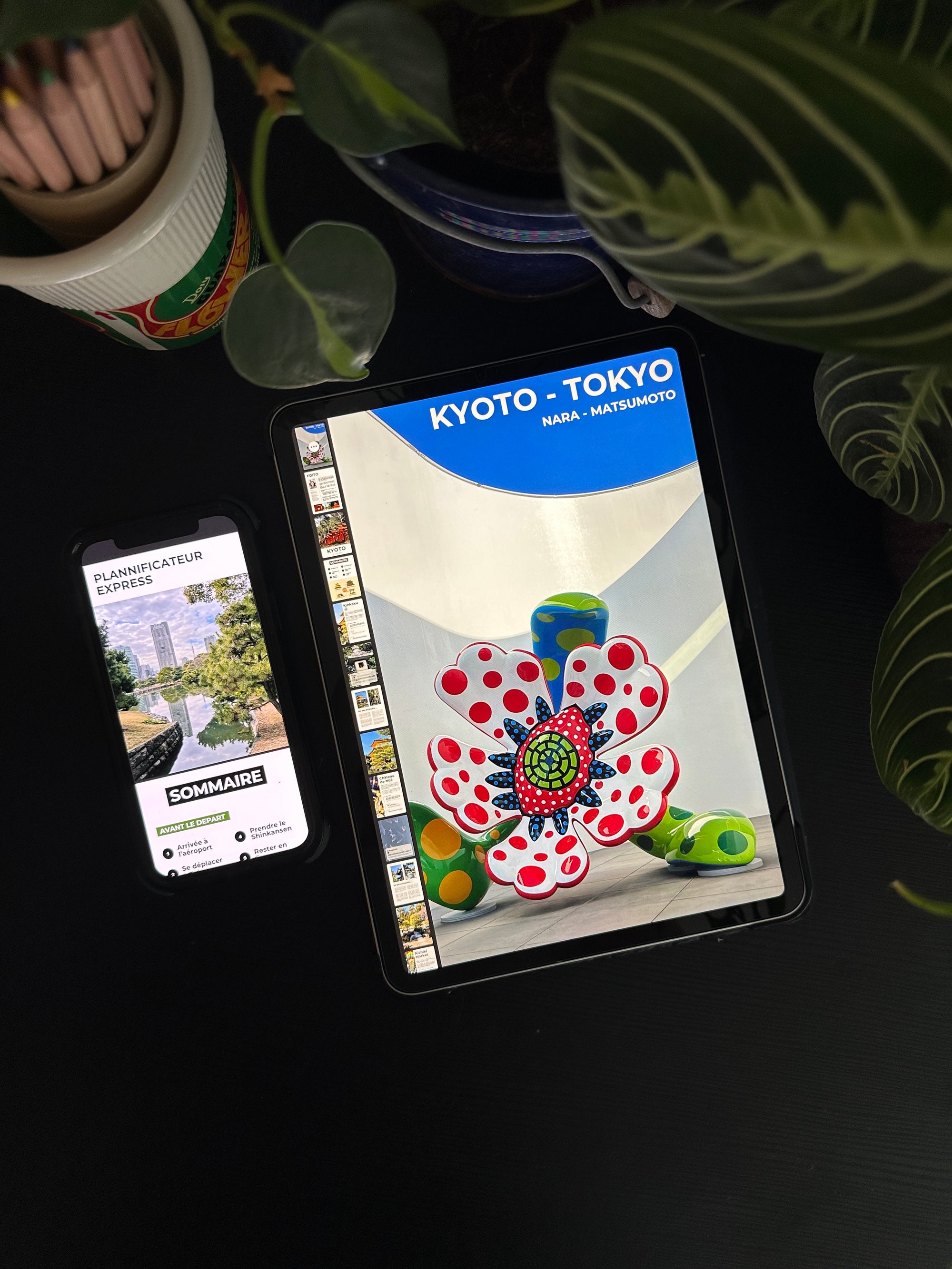 Tokyo – Kyoto - Matsumoto, mon compagnon de voyage