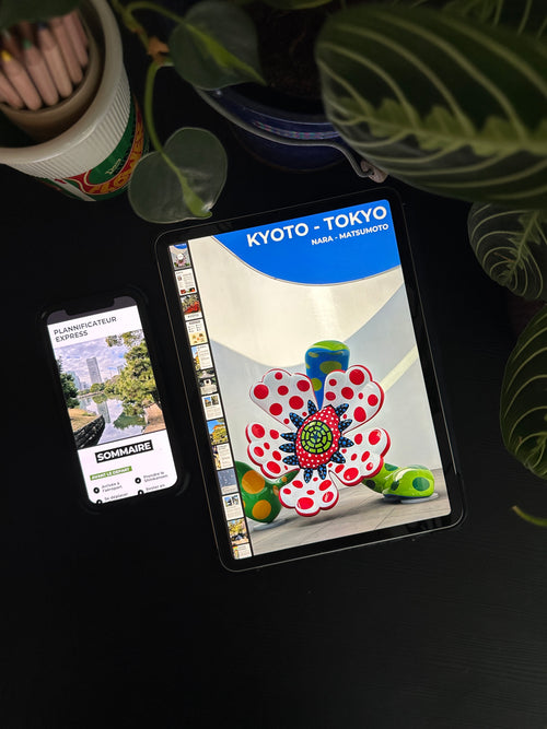 Tokyo – Kyoto - Matsumoto, mon compagnon de voyage